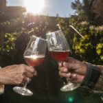 A Dream of Quiet Luxury in Baja’s Wine Country