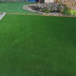 A Dream Garden Transforms a Quiet Yard into Living Art