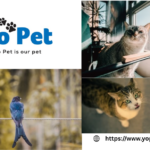 Training Kibble Drop Iq Toy | Yopet.co.uk