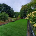 A Quiet Revolution Under the Garden Sky