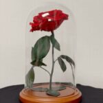 Forever Sunflower: Timeless Bloom Arrangements from The Enchanted Petal