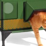 Golden Retriever Puppy Dog Food: Healthy, Tasty Starts