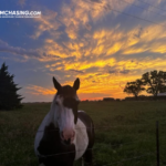 Plan Your Ultimate Tornado Chaser Vacation with Expert Guidance