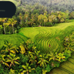 Gili Eilanden Tour Pakket Online – Plan Your Ideal Trip