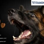 Natural Dog Vitamins | Vitaminpaws.com
