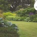 Trim garden services in Bristol – tidy, careful and reliable