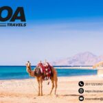 Giza Pyramids Tour | Toatravels.com