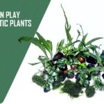 Live Aquarium Plants Online: Fresh, Healthy, Ready to Grow