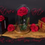 Rose Encased In Glass – Eternal Elegance for Romance