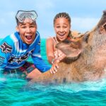 Harbour Boat Tour Nassau – Discover Coastal Beauty & Bahamas History