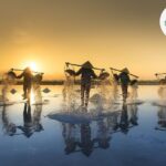 A Refreshing Leap: Discovering New Possibilities in a Thriving Market
