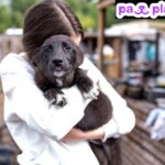 Find a Friend for My Dog: Meet Local Playmates Today