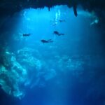 Cenote Cave Diving: A Dive into Mexico’s Crystal-Silent Caverns