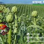 Vineyard Tax Specialist Santa Barbara Tax Solutions for Your Vineyard