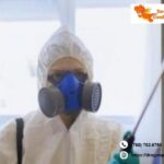 Bed Bug Removal Edmonton | Dragonpestcontrol.ca