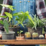 Online Marketplace For Small Farms | Cuina
