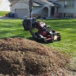 Trimming Services Near Me — Professional Garden Clipping & Care