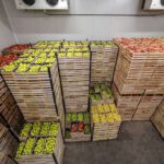Chickpeas Wholesale Distributors | Reliable Global Bulk Supply