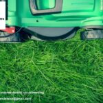 Gardener Bristol: Expert Garden Care for Beautiful Outdoors