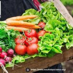 How to Lose Weight: Realistic Steps That Actually Work