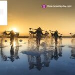 Business For Sales Sg | Feyday.com