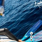 Daiwa Saltiga Reel | Anglersbay.com