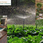 Transform Your Dubai Pool with Expert Landscaping and Turf