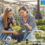 Keeping San Antonio Lawns Green And Healthy | Thickgreenhealthy.com