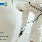 Restore Comfort Using Skilled Bedbug Exterminator London Professionals
