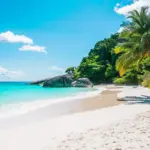 Rentals Car in Hawaii: Reliable Deals for Your Holiday
