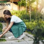 Lawn Mowing Service Castle Hill for Perfect Lawns