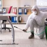 Calgary Spider Removal | Positivepestcontrol.ca