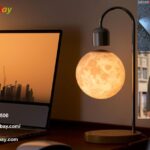 Men Clothing | Xoobay.com