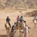 A Sojourn Along the Nile: Unforgettable Moments Amid Sunset Oranges and Ancient Echoes