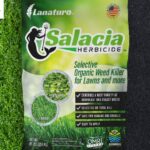 Natural Weed Control USA: Safe, Effective Lawn and Garden Solutions