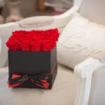 A Twist of Time: A Gift to Remember