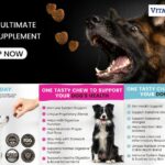 Natural dog vitamins: gentle, effective boosts for your dog’s health