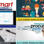 Sap Accounting Courses | Thesmarthands.com