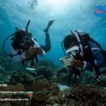 Fun Diving | Kalpitiyadivingcenter.com