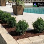 Luxury Cambridge Landscape Company: Transform Your Outdoor Sanctuary