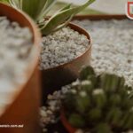 Steel Edge Garden: Modern, Durable Edging for Your Outdoor Space