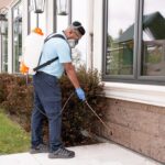 Calgary Wasp Nest Removal: Safe, Fast, Local Experts