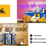 Discover Value and Pricing for Semi Papad Machine Cost Today