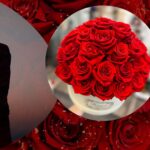 Rose Encased In Glass – Eternal Elegance for Romance