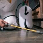 Exterminator near Werribee – Reliable Pest Solutions