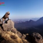 Explore Ethiopia Group Tour: Authentic Journeys with Local Guides
