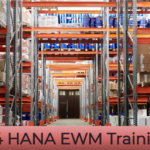 SAP S4 Hana Certification Courses for career-ready skills