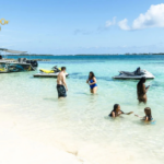 Swim With Pigs Bahamas: Unforgettable Bahamian Adventure