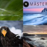 Fotokurs i Sverige – Lär dig grunderna och utvecklas som fotograf