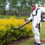 Effective Bed Bug Removal Calgary | Safe, Local Experts